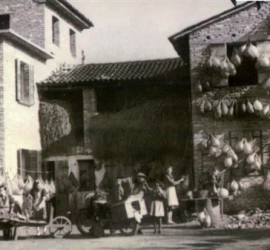 Sabbadin Azienda
